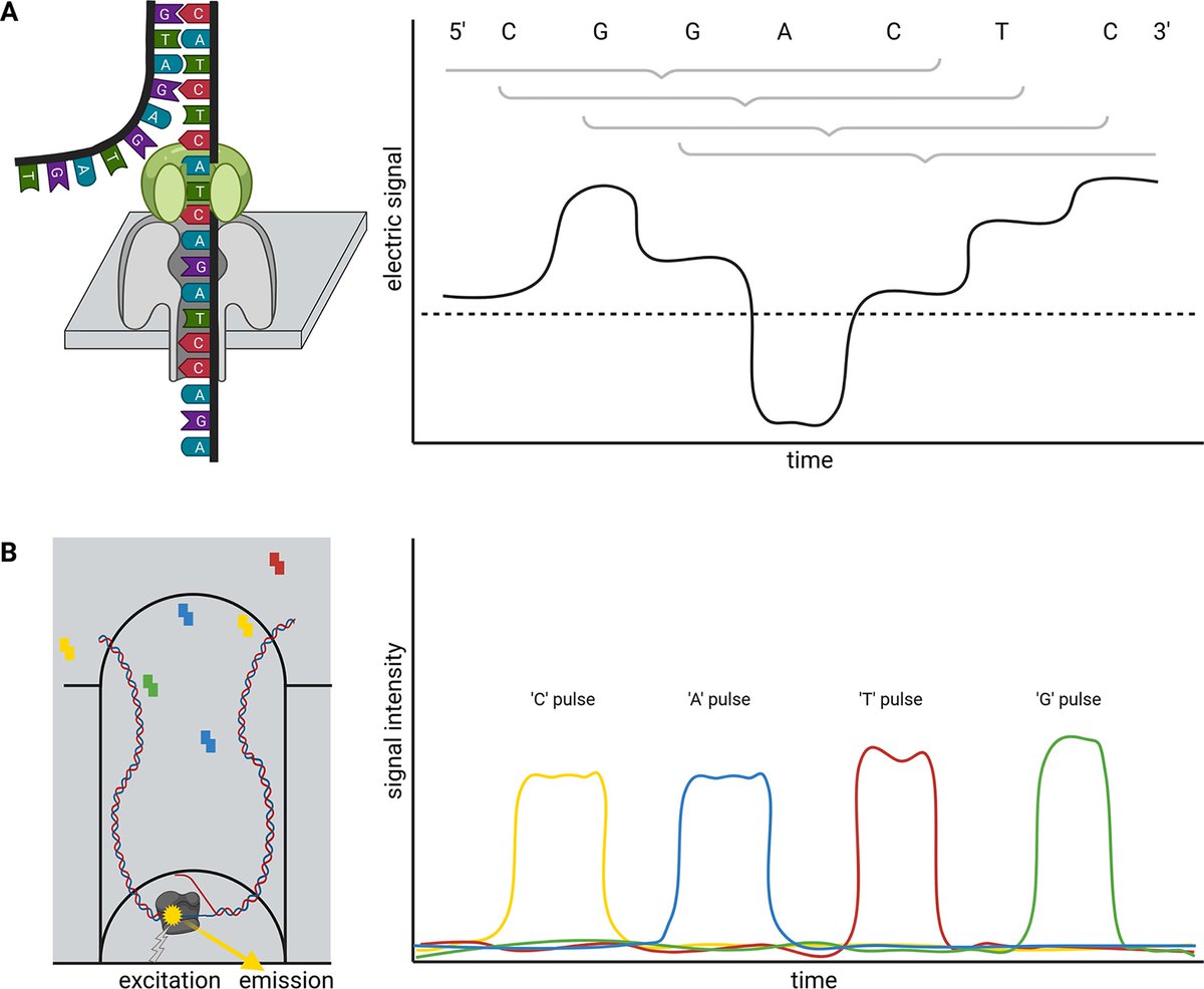 Ultra long read plant genome sequencing 
doi.org/10.1017/qpb.20…

#Genomics #Bioinformatics #AcademicChatter #ScienceTwitter #OpenAccess #WomenInScience #100DaysOfCode #DataScience #WomenWhoCode #PlantSci #Python #SciComm #nanoporeconf #retweet #OpenScience #WomenInSTEM