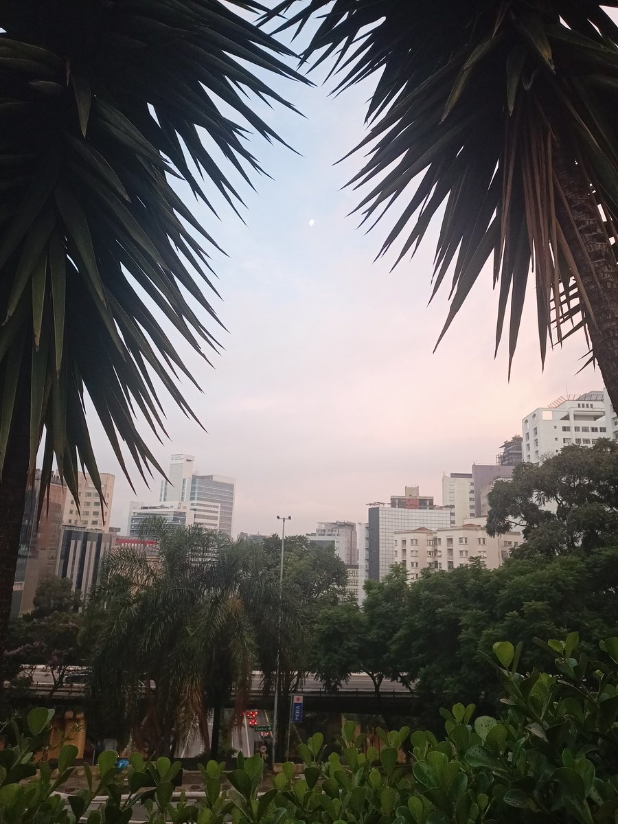 skeeeeeel's tweet photo. Rolê na paulista rendeu fotinhos ❤️ https://t.co/JHZ9PLuuoK