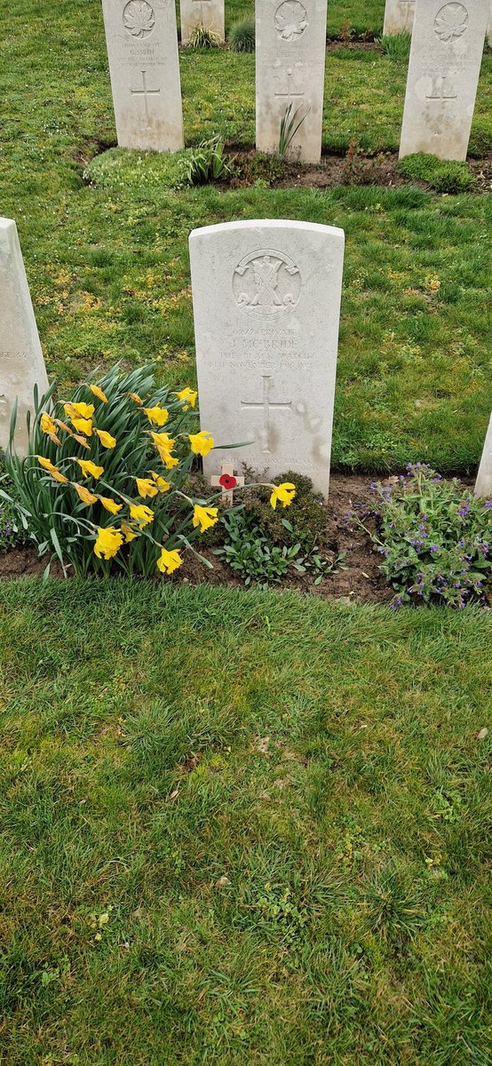 ayr1916's tweet photo. #Ayr
#AyrshireOnTheSomme
#Contay British Cemetery
Final resting place of Pte John McBride from Ayr.
6272 4/5th Bn Black Watch
DOW 14th Nov/16 at 49th - 9th Casualty Clearance Srations.
Thiepval fallen -
39th Div's attack on the Ancre Heights 1st Oct - 11th Nov was now renewed https://t.co/IIlzA5awBb