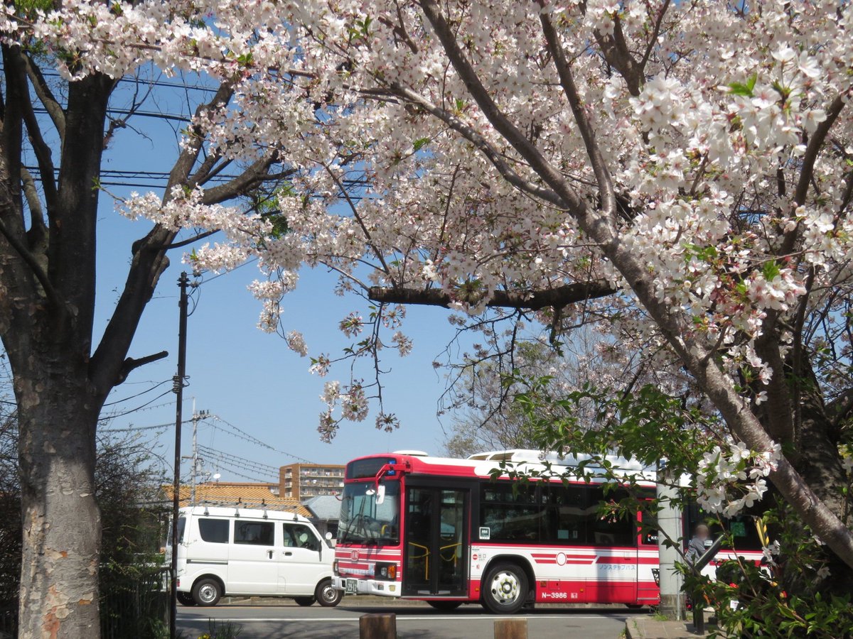 4/1 京阪バス 高槻(営)N-3986 日野PDG-KV234N2 [9]枚方市駅行 毎年4月1
