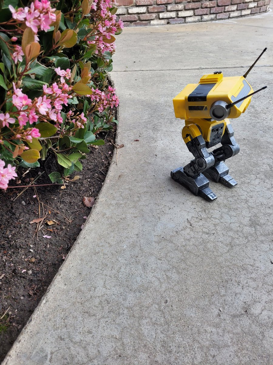 FairyoftheDead's tweet image. Watching honey bees.
#bd1 #swge