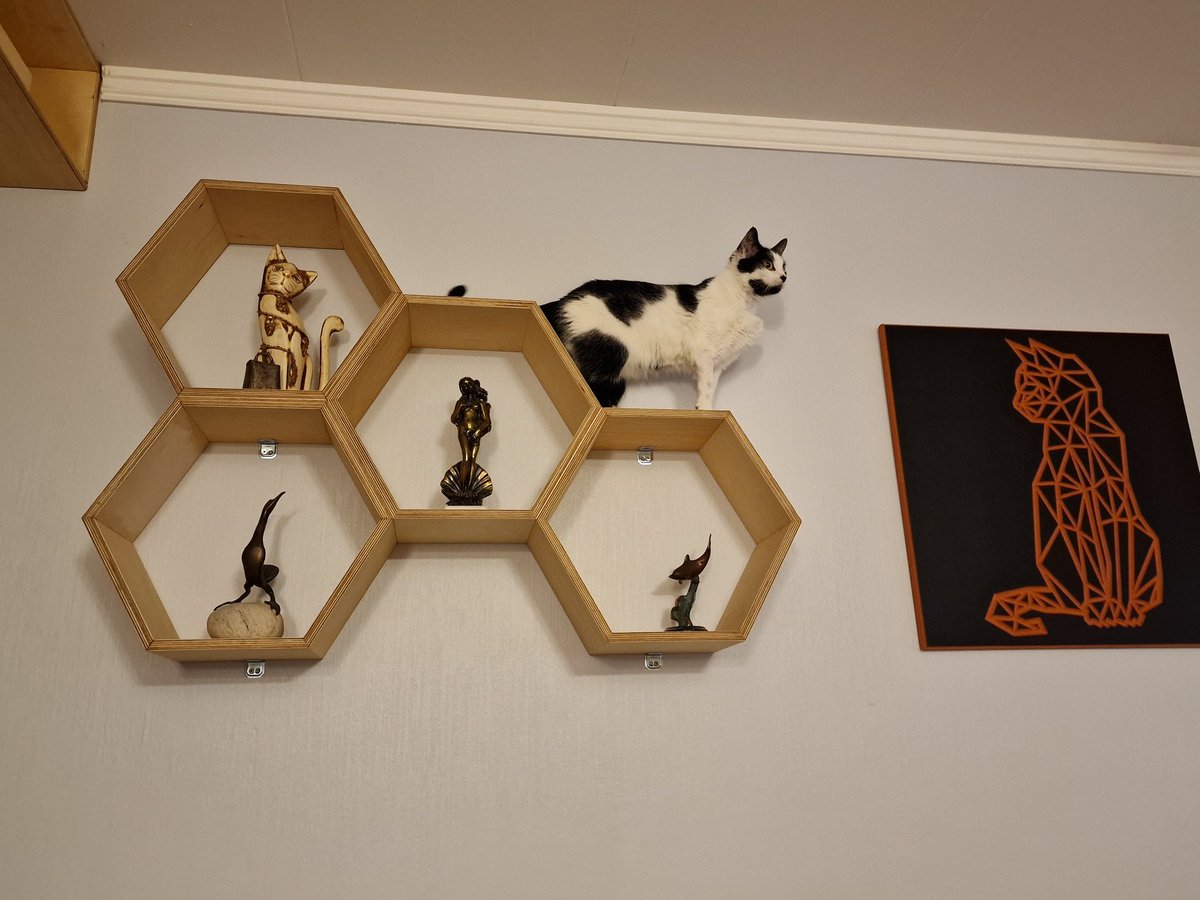 I am of course the real and precious decoration at the shelf, princess Altha proudly meows. 👑😻❤️