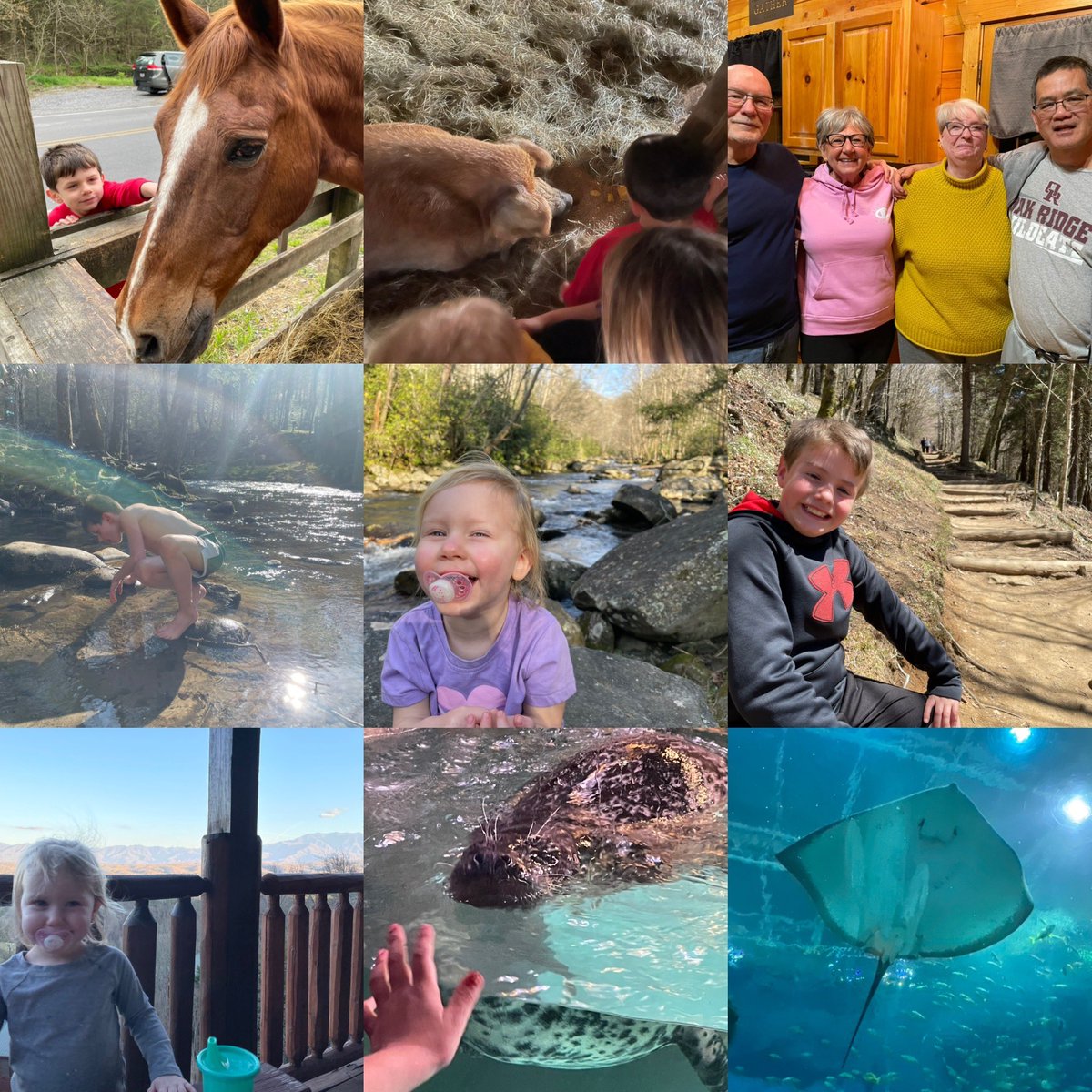 SteveSwaggerty tweet media