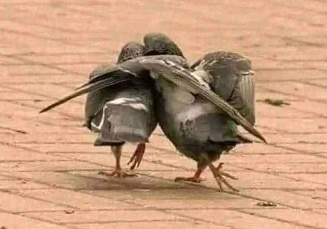 When friends know that you've received salary 😂