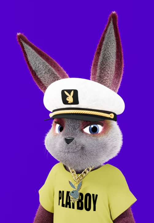 scytalecipher's tweet image. I'm following you down the rabbit hole! @PlayboyNFTS