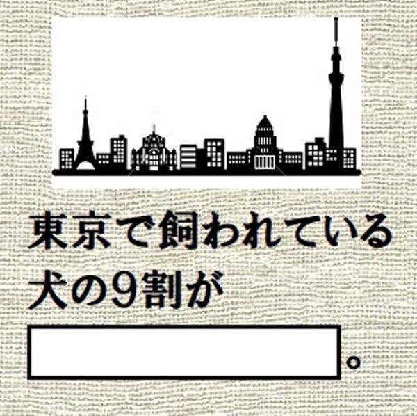 ◇該当するユーザーはいません◇ tweet media