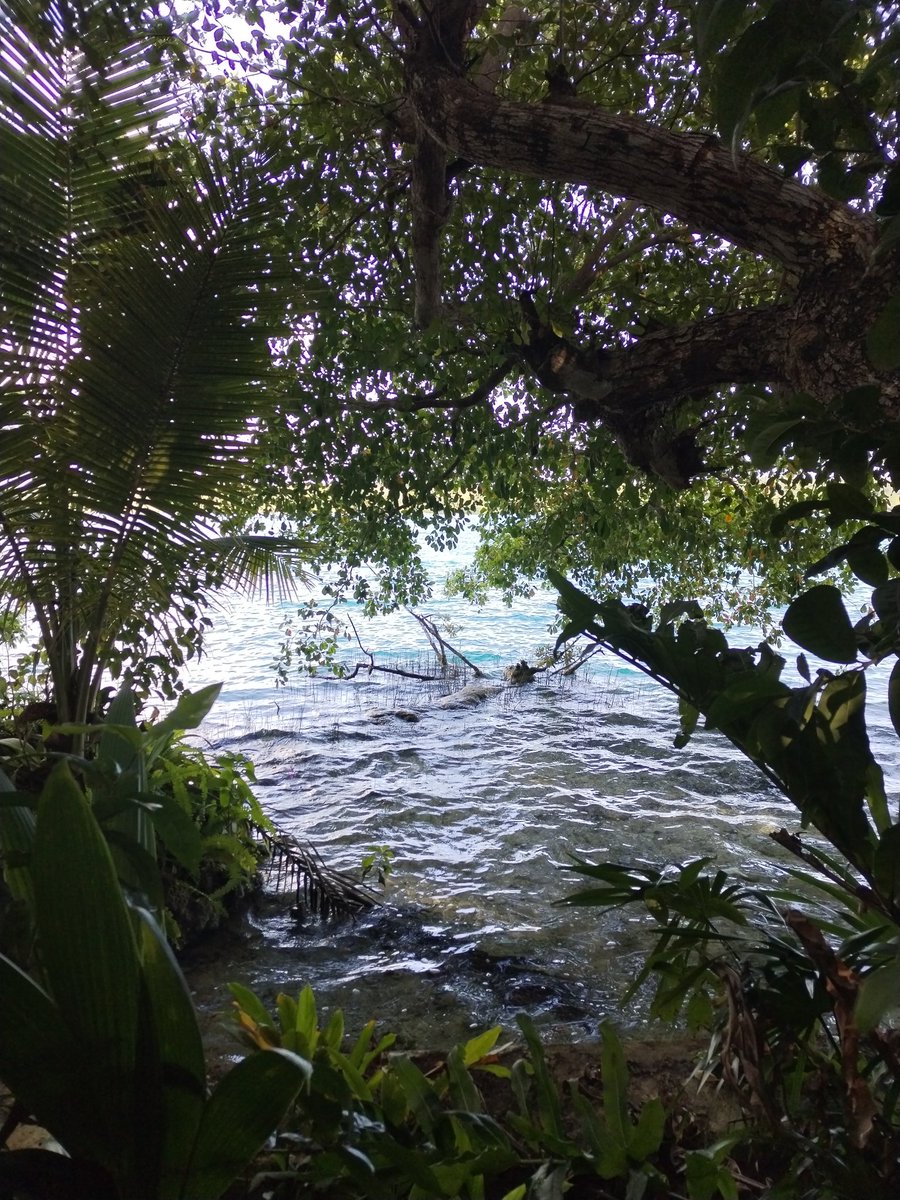 <a href="/MaraLezama/">Mara Lezama</a> El cuidado del agua es una actividad estratégica para lograr la sustentabilidad de ese recurso en todas las comunidades del Estado. <a href="/mapachestec/">@MAPACHESTec</a>