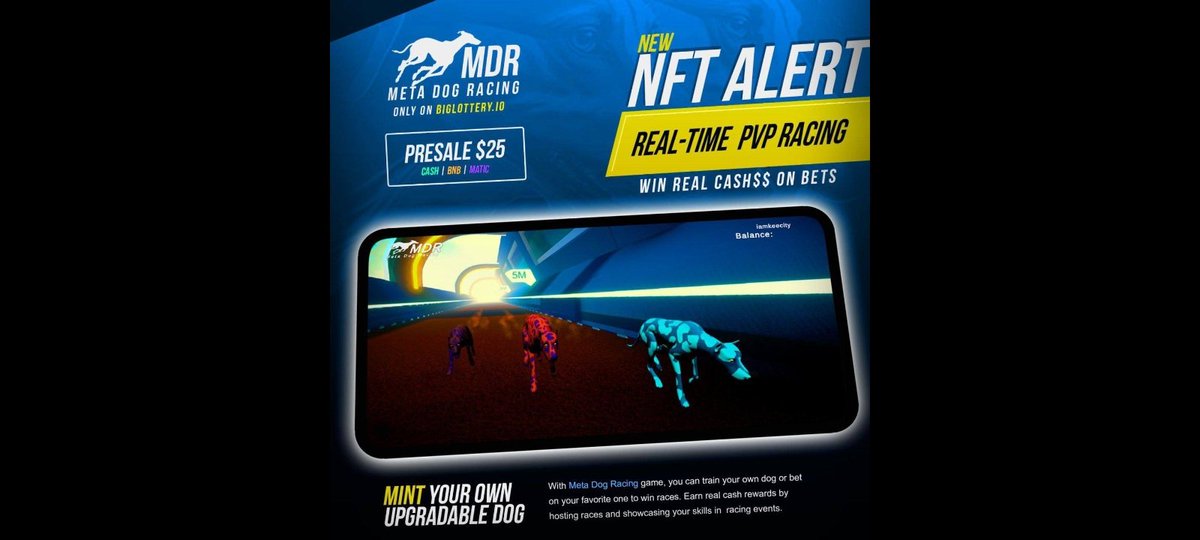 DFK GAMING tweet media