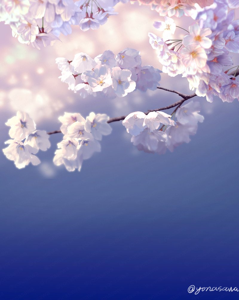 「桜の写真がいっぱい流れてくるので桜の絵でも 」|マクーのイラスト