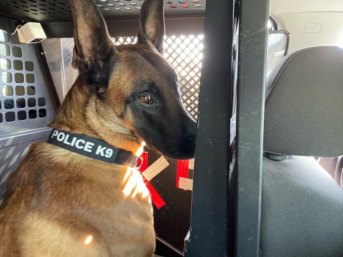 K9 Duke (@APDK9DUKE) / Posts / X