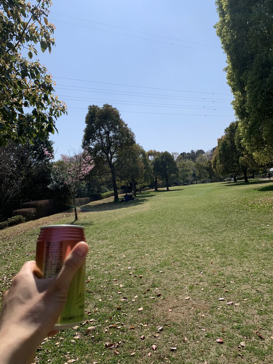 ちょーいい天気 花見（花なし）です