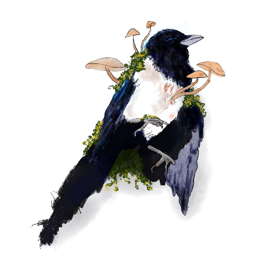 Meg_phobic's tweet photo. Resurrection of the magpie 🌿🍄

Now that the weather is nicer here in Calgary I can’t help but think of all the things decaying in a soft bed of moss https://t.co/mTQlFVUiid