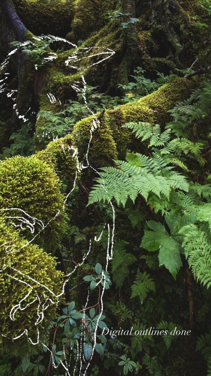 Meg_phobic's tweet photo. Resurrection of the magpie 🌿🍄

Now that the weather is nicer here in Calgary I can’t help but think of all the things decaying in a soft bed of moss https://t.co/mTQlFVUiid