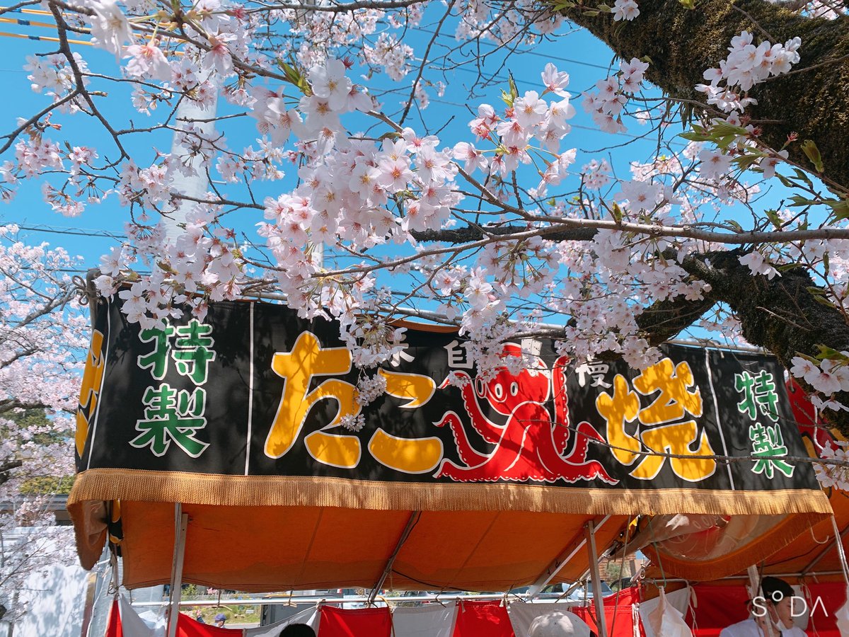 桜と屋台って…風情しかないですよね。好き。 https://t.co/A4DKE5uoAb