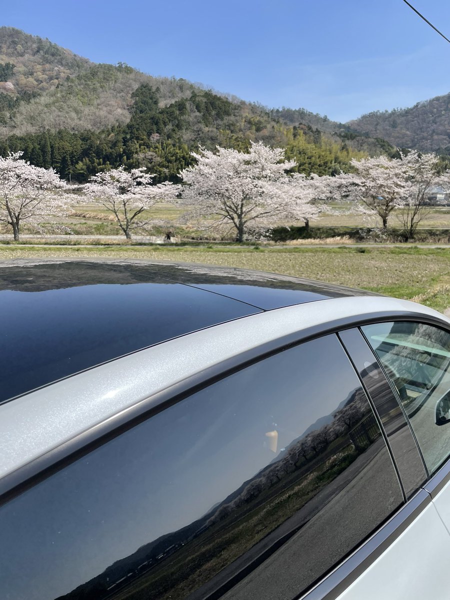 kuma_m3's tweet photo. https://t.co/KpptdW09NU
