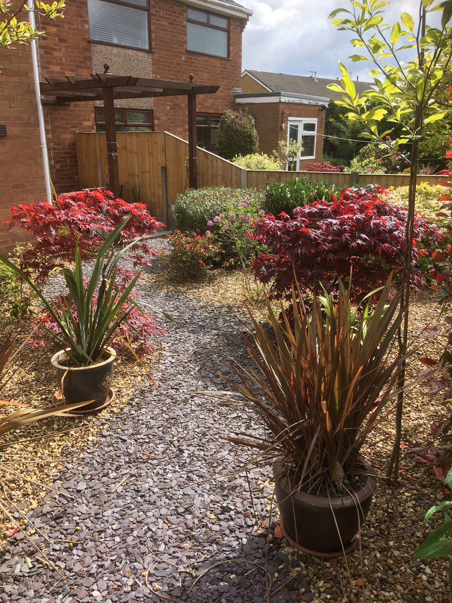 BloomPrimrose's tweet photo. Give us a message if you’d like adding to the increasing maintenance round https://t.co/E8CWvG3MhU