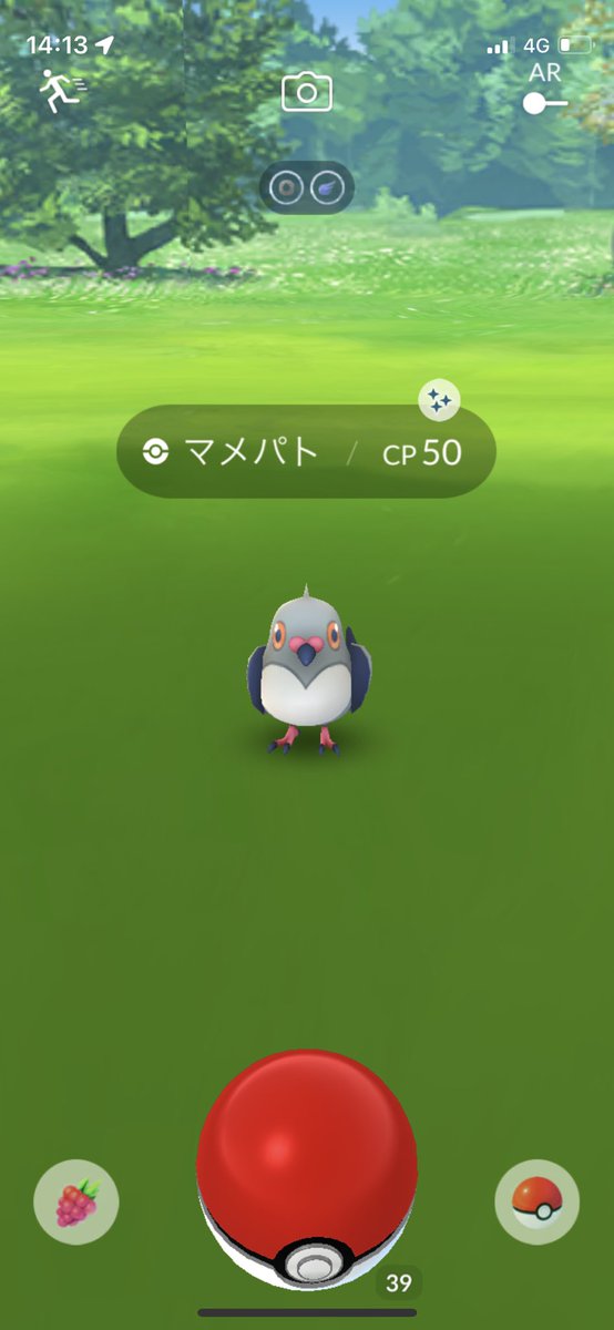 8Lt6e's tweet photo. キラリーん✨

#ポケモンGO 
#ポケモンgo好きな人と繋がりたい 
#ポケモンGOしてる人と繋がりたい https://t.co/77ba4IVL08