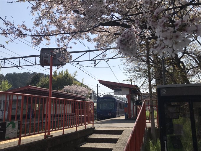 桜吹雪と恋アスコラボ電車外国人観光客がモンロー先輩を見て「オーマイガー」って言ってる多くの観光客が恋アスポスターに注目し