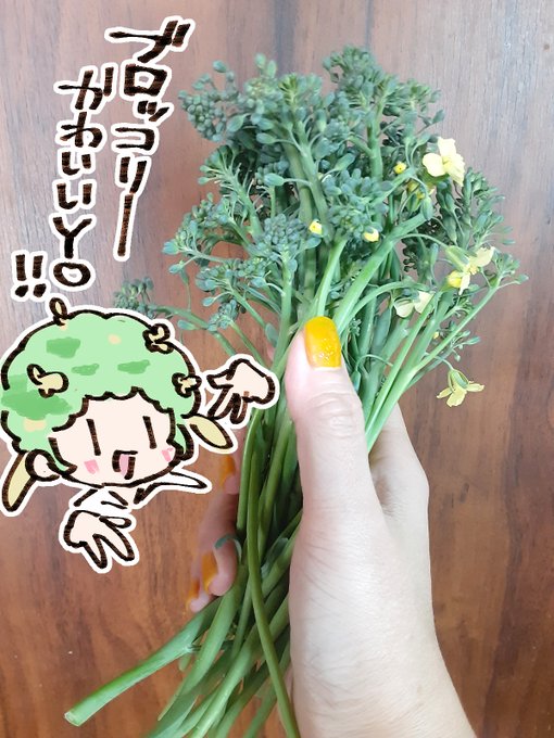 ぶろっこりーかわいい🥦おいしい 