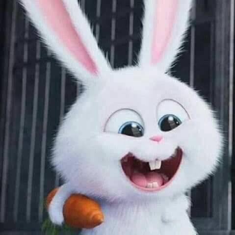 leeknow x snowball comparisons will never end