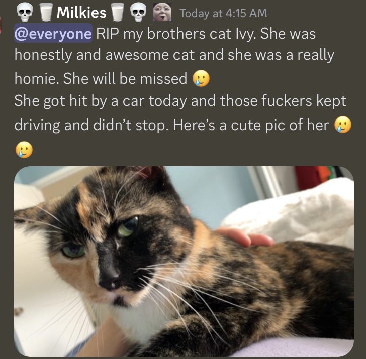 Milk and Cookies tweet media