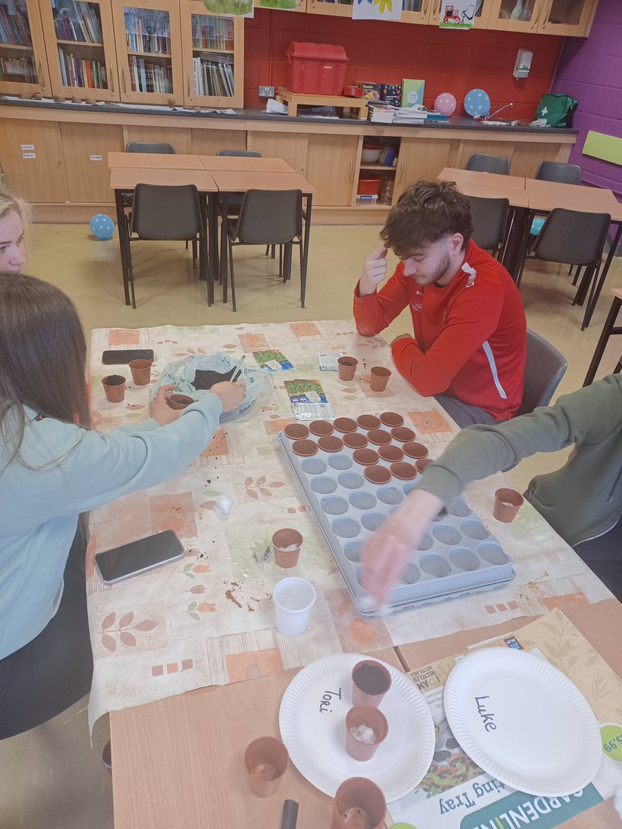 SCFEOfficial's tweet photo. 🪴Preparing #Nature classes for children 🪴
We did some lovely #germination experiments with cress seeds in class this week, with our #QQI Level 5 #EarlyLearning & #Care group
https://t.co/RTcndNwxLI
#sallynoggincollege #scfe #furthereducation #plc #chilcarecourse #natureclass https://t.co/9BJpuk6nJB