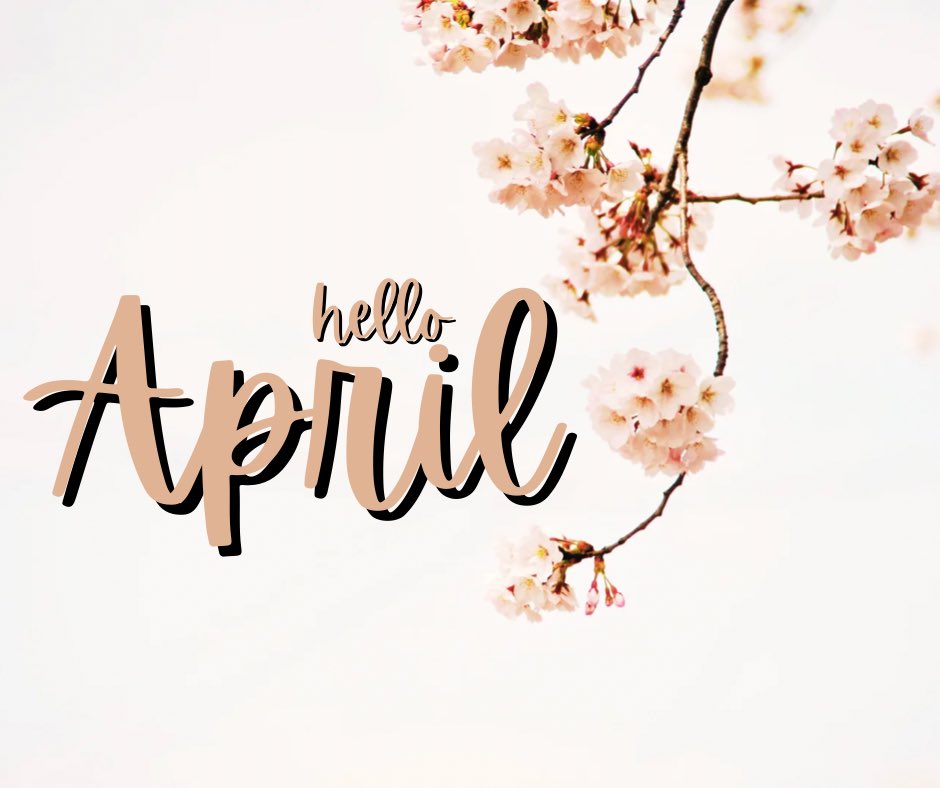 Talisha Alligood, Realtor tweet media