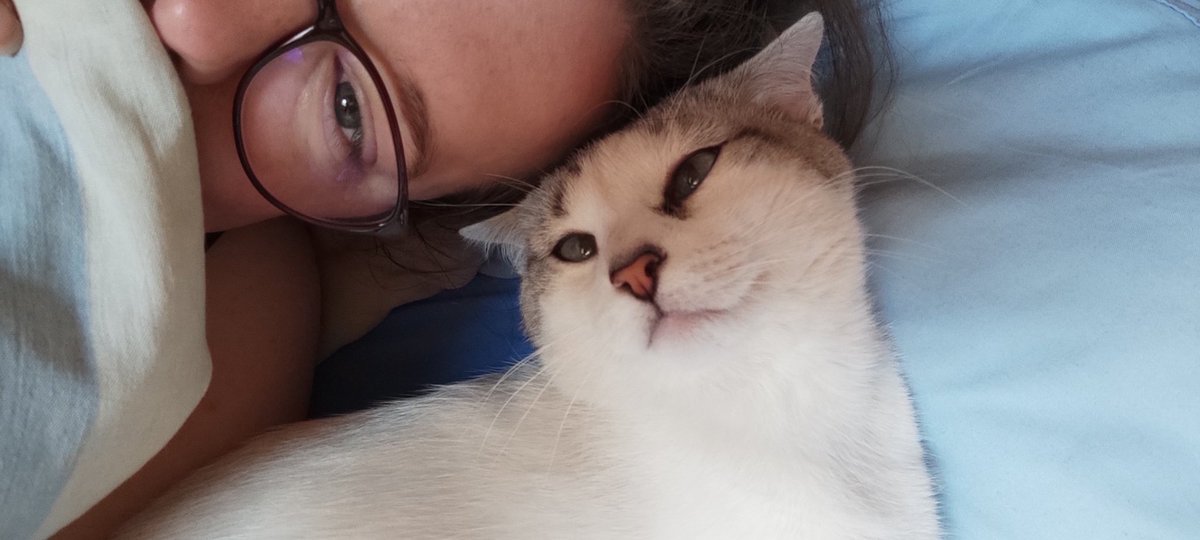 TheNoseInBooks's tweet photo. Mon petit chaton grandit vite... Stitch a 2 ans aujourd'hui ! 🎂🥳😻
Ma grosse beauté 😍💙 https://t.co/ttCayNaRIB