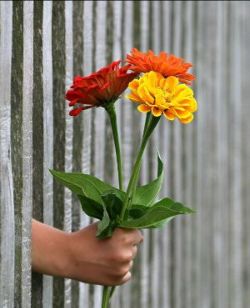 Community Impact 💐 - mailchi.mp/87f9101875aa/b…