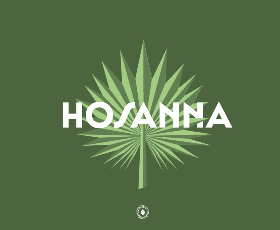 Blessed is he who comes in the name of the Lord;
hosanna in the highest.
Matthew 21:9