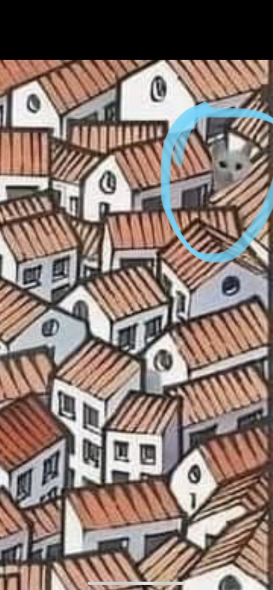 🇸🇴ABDI SALAD🇸🇴 tweet media