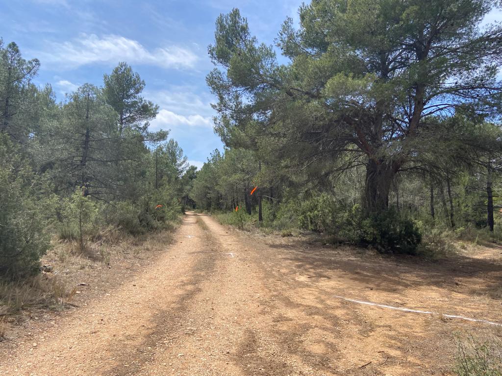 CTV Trail Valencia tweet media