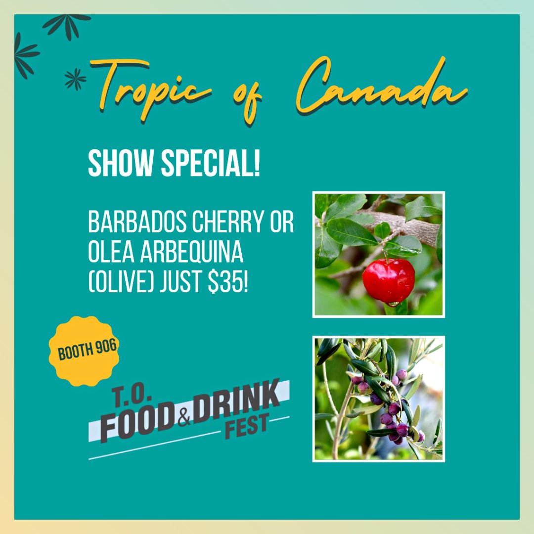 TOFoodDrinkFest's tweet photo. Day Two, here we come! Be sure to check out these Fest specials at Tropic of Canada & Yani Gourmet ๐
#TOFoodandDrinkFest #TOFDF #TOFoodandDrinkFest #TOFoodies #TorontoFood https://t.co/qXTsJQNiuJ