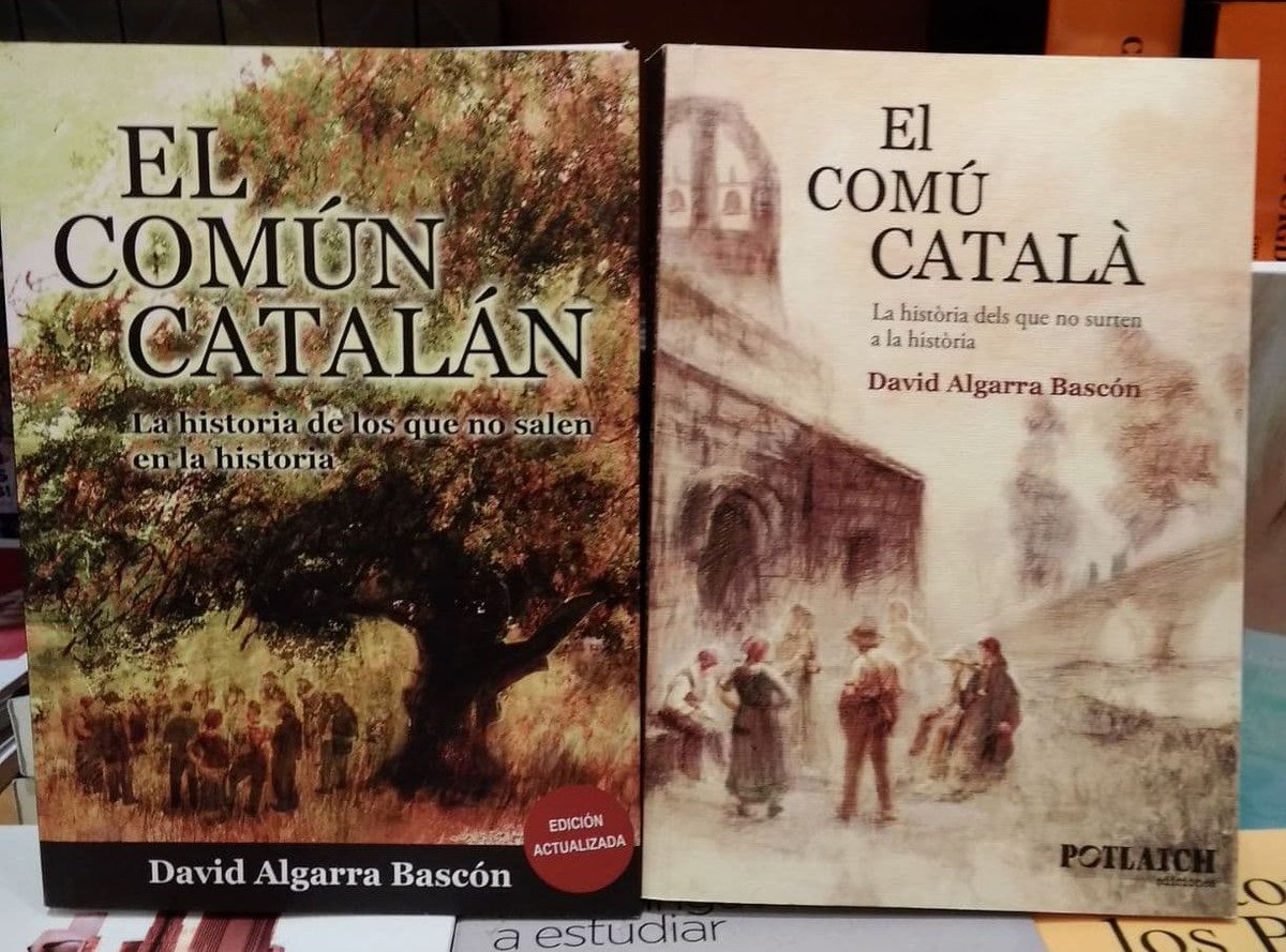 David Algarra Bascón tweet media