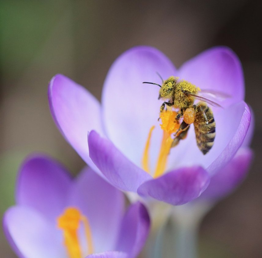 A_R_TforPEACE's tweet photo. 💜💛💜
Hello April! https://t.co/7L4Qn1vQ0z
