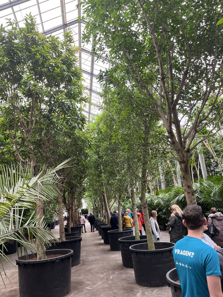 Vandaag en morgen kun je op zien wat er in de kassen wordt geteeld <a href="/kom_in_de_kas/">Kom in de Kas | Hét grootste glastuinbouwevenement</a> .
Naast bloemen en groenten ook planten zoals hier bij <a href="/fachjanbv/">FachjanProjectPlants</a> in Honselersdijk.
De kas wordt duurzaam verwarmd met geothermie!