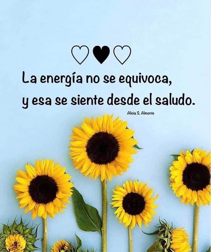 DelValleGreen's tweet photo. Las personas auténticas huelen a inolvidable 😚🌻☀️🌻☀️
Buenos días mis corazónes. https://t.co/kBPLSA7W06
