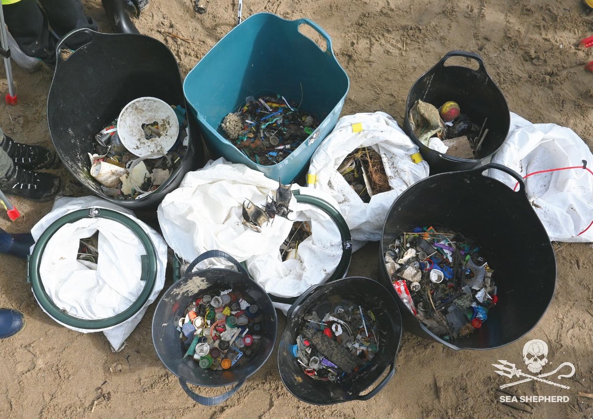 plgc1958's tweet photo. Thank you to Trelales Primary School kids from #Laleston, who recently joined @seashepherd_uk to help clean our beach. They removed 22.4kg of ocean plastic. #BeachClean #OceanPollution #MarineDebris #SaveOurOceans #Porthcawl #Nottage #Newton #Bridgend @seashepherd https://t.co/tSjMntUUSC