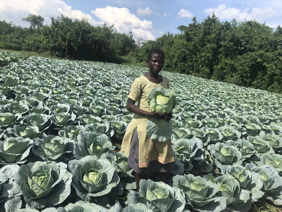 klapacidri's tweet photo. Championing women and youth economic empowerment in partnership with AWEC-Uganda a community based organization working towards creating healthier and wealthier generations in maracha district # our beneficiary of the month award winner from Ajira sub county Maracha district. https://t.co/oeJUrxQ6ce