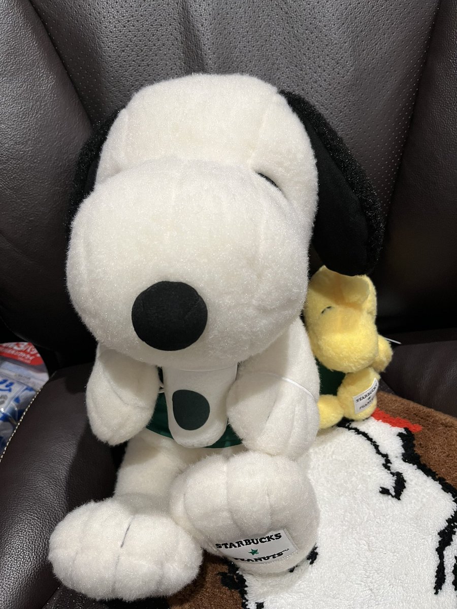 sanoopy0810's tweet photo. もうダメ🥺🥺🥺🥺🥺🥺

推しが可愛い過ぎて気絶しそう( ´,,•ω•,,`)♡

#SNOOPY
#スターバックス
#PEANUTS
#ウッドストック https://t.co/bVfPaHAzyE