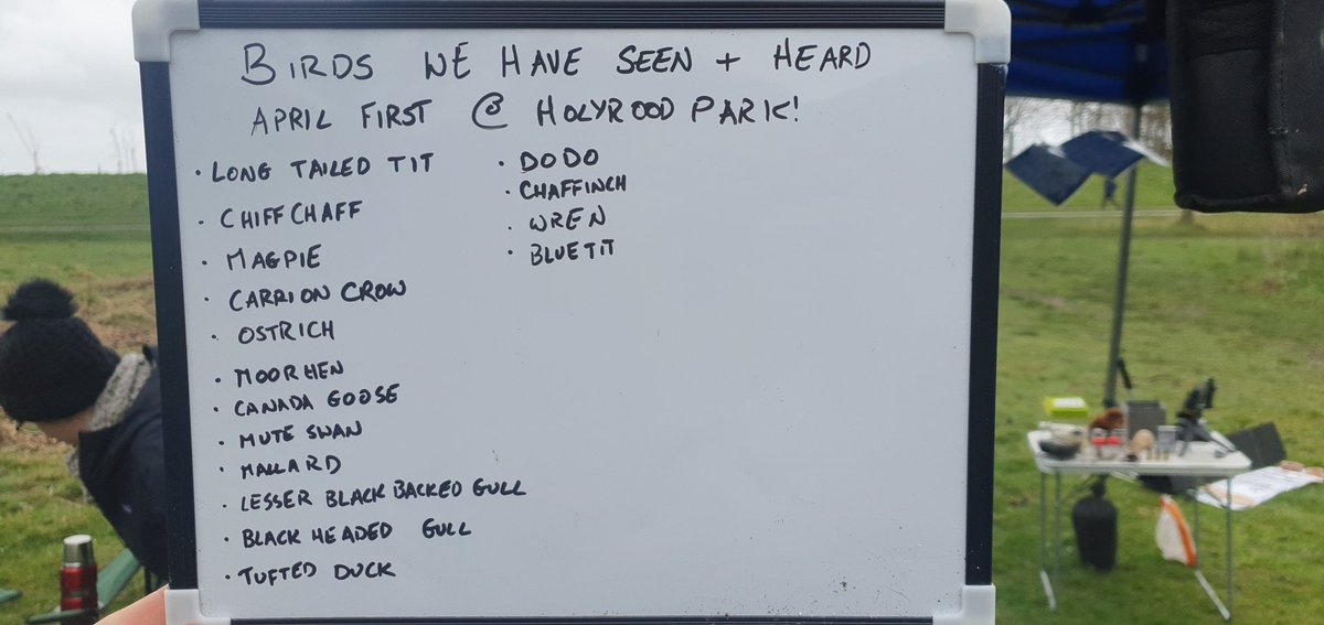 EdinLandscape's tweet image. Well we've already seen some extraordinary birds at #Holyrood Park this morning! 🦢🦆🦤🐥🐦🐧 #birding @ScotWildlife