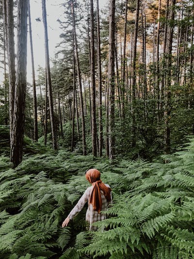 4everglade's tweet photo. Sometimes giving up is the strong thing
Sometimes to run is the brave thing
Sometimes walking out is the one thing
That will find you the right thing

- It's Time to Go, Taylor Swift https://t.co/P1RCA7vRVq