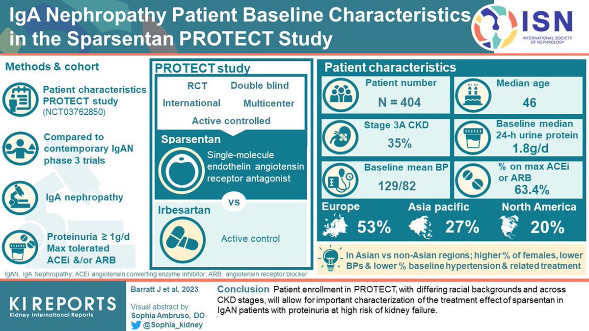 Edgar V. Lerma 🇵🇭 on Twitter "PROTECT IgA Nephropathy (IgAN) Patient