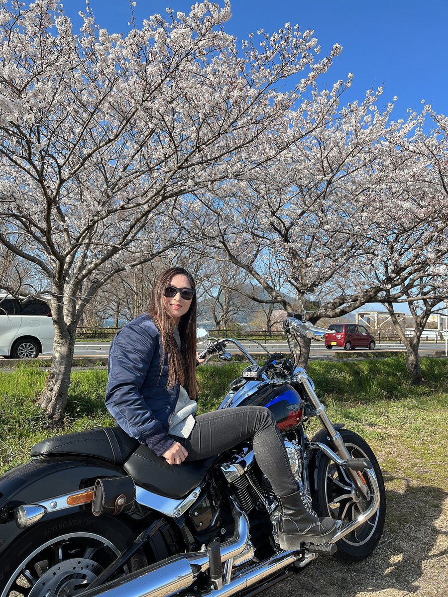 桜ツーリング🌸
今年は満開の桜をバイクで満喫できました🥰これからどんどん乗るぞ🏍💕
#バイク好き #桜ツーリング #ハーレー