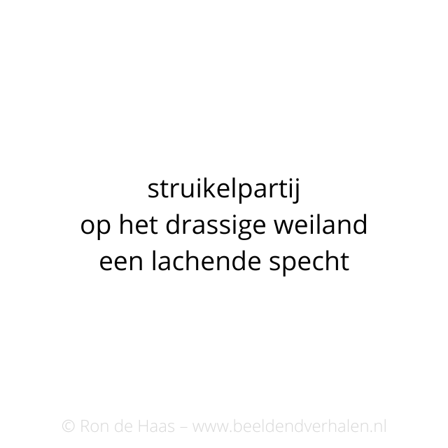 BeeldendVerhal1's tweet photo. #beeldendverhalen #struikelen #weiland #specht #lente #haiku #俳句 #ロン #川柳 https://t.co/1OeVjh0xjJ