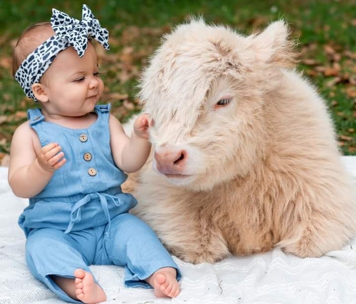 e_advertainment's tweet photo. Is the cow real or stuffed?
#cutecow #cutebaby #beautifulcow #beautifulbaby #shahbazasghar #eurekapetshop #eureka_advertainment https://t.co/oD4JRzUKgj