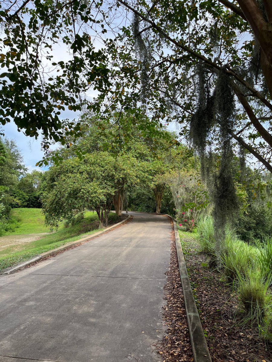 greenscapeofjax's tweet photo. It's planting day! We are thrilled with how well the trees we planted 10 years ago are doing #BrentwoodGolfCourse and look forward to planting more today with sponsor @CHEP @jaxparks @CityofJax @arborday
#WeDigTrees #UrbanForest #TeamWork https://t.co/MotSFkDf4i