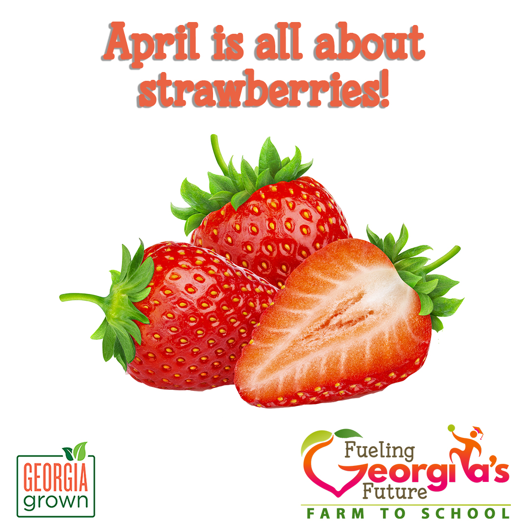 The Georgia Harvest of the Month item for April is strawberries. 🍓

Visit bit.ly/GaHOTM  to access resources for celebrating #HarvestoftheMonth and growing your #FarmToSchool program. While there check out our #FoodBasedLearning Lessons too!

#FuelingGA #GeorgiaGrown