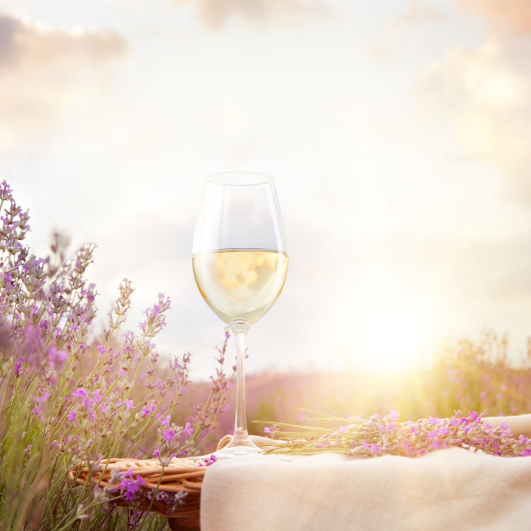 HUNTING FOR HIDDEN GEMS THIS EASTER - it's a perfect time of the year to bring something special to the table. tinyurl.com/y5kzxkf8

#easterwine #eastershopping #shoppingforeaster #easterweekend