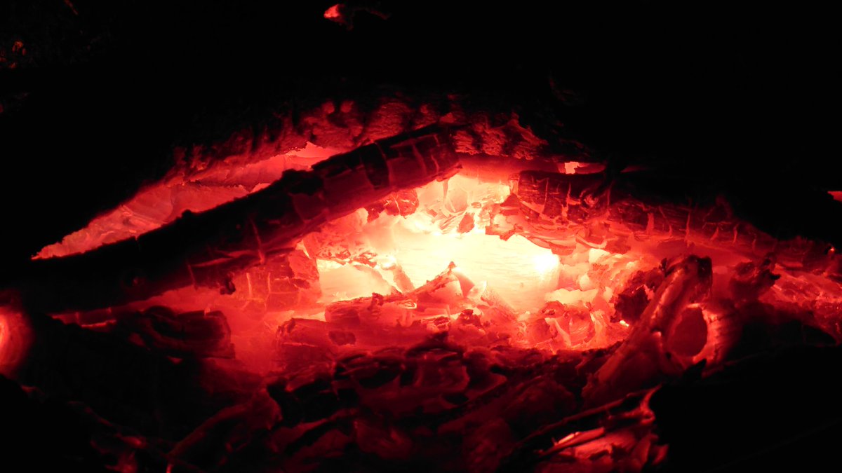 NullCamp tweet picture